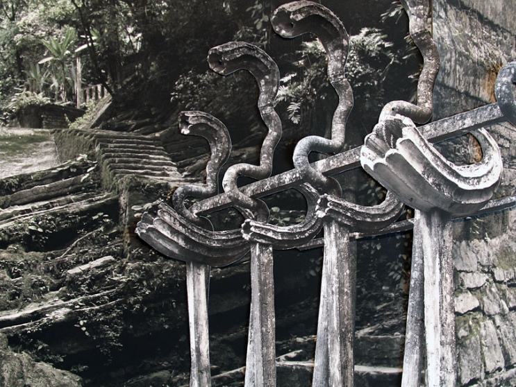 http://assets.mirunadragan.com/files/gimgs/th-6_IMG_2470_Xilitla_W.jpg
