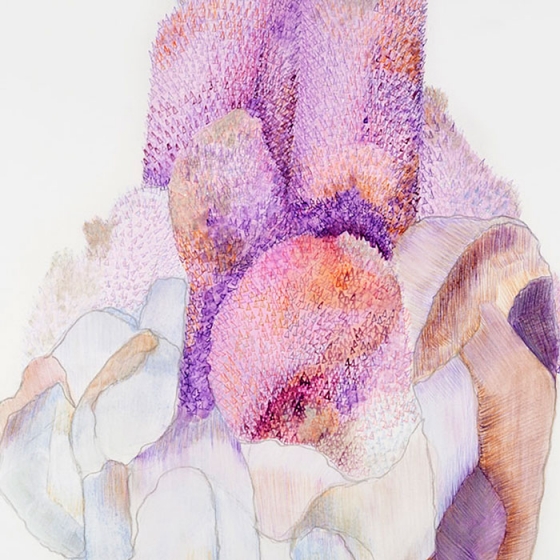 http://assets.mirunadragan.com/files/gimgs/th-23_Erratics-Draw3-detail-web_v2.jpg