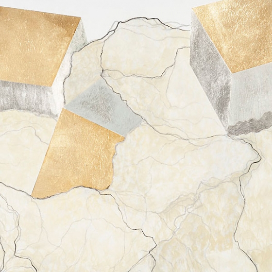 http://assets.mirunadragan.com/files/gimgs/th-23_Erratics-Draw1-detail-web_v3.jpg