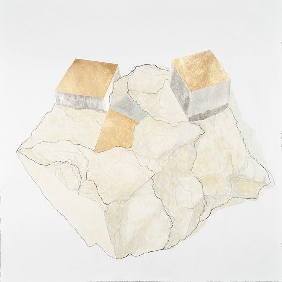 http://assets.mirunadragan.com/files/gimgs/th-23_Erratics-Draw1-web_v3.jpg